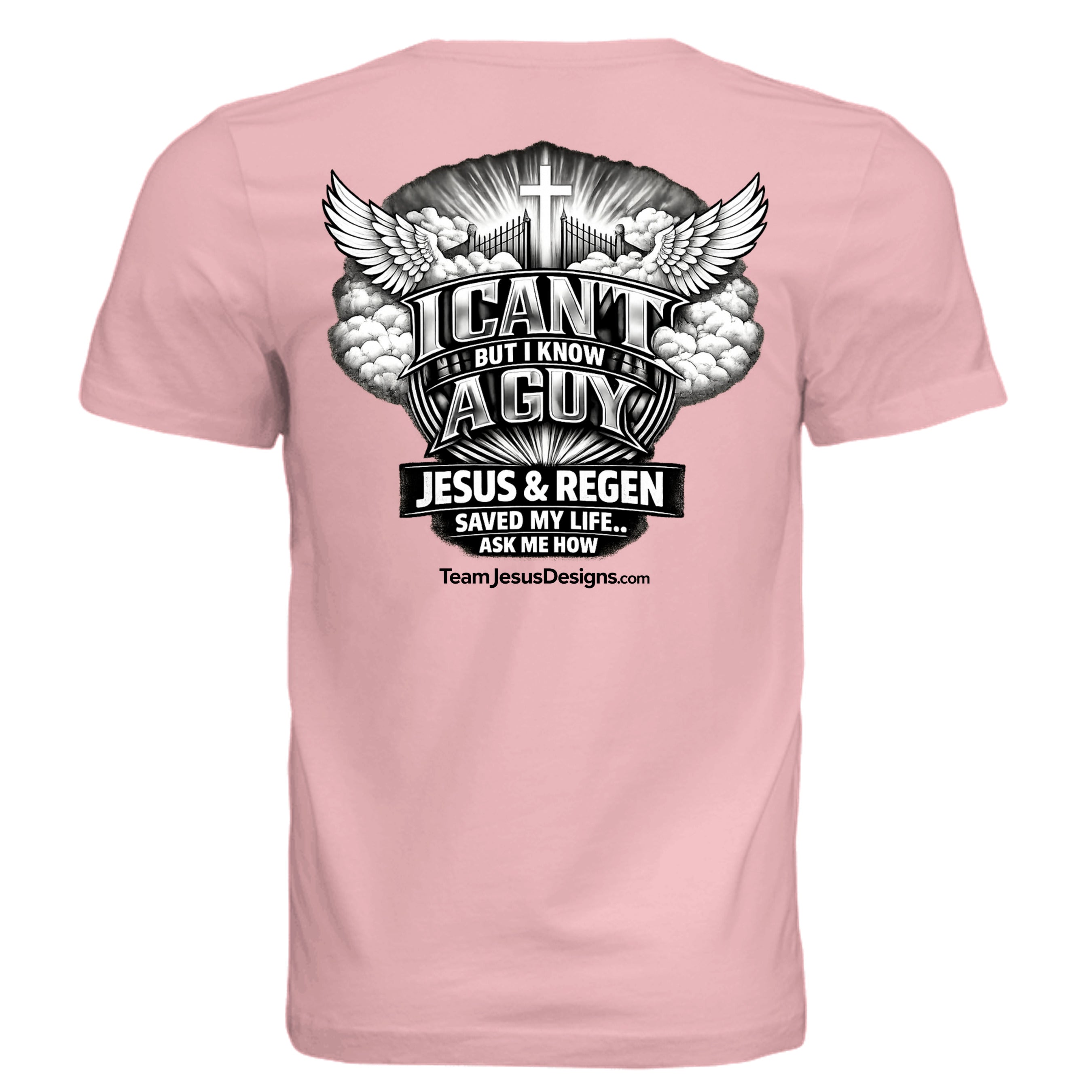 SOFT PINK - 3001C - BACK